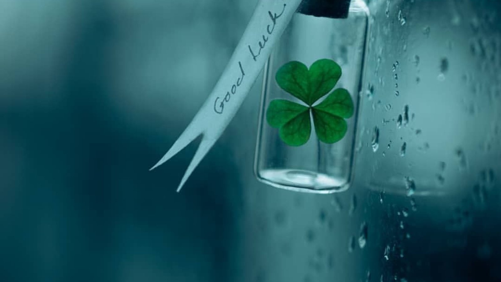 a clover leaf clover in a glass bottle